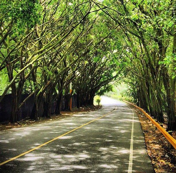 Excursiones en Jarabacoa RD