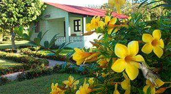 Mis Bohios en Jarabacoa RD